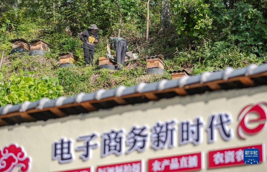 太阳城游戏登入